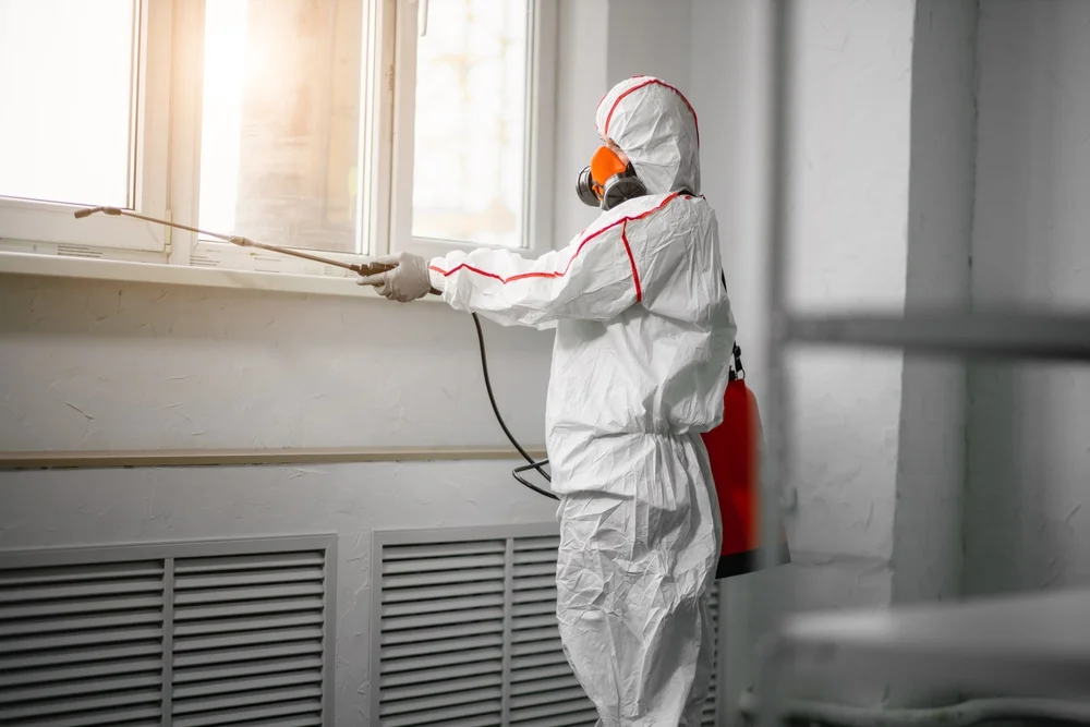 Professional mold remediation services in Middlesex, NC